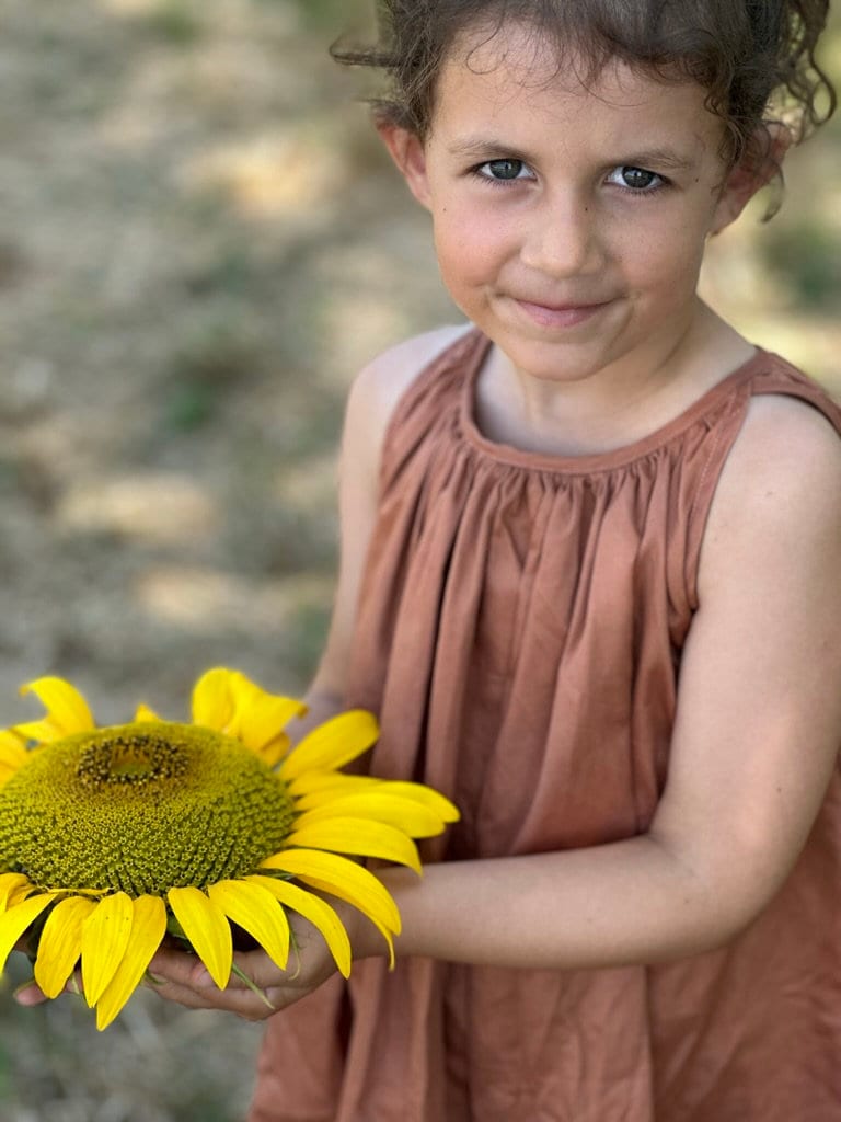 LILA Swirl Dress and Top Sewing Pattern